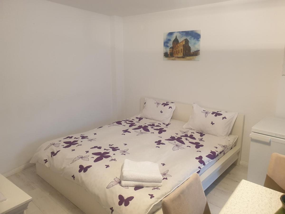 Studio Centrul Istoric Sibiu Apartman Kültér fotó